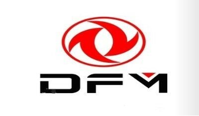 DFM
