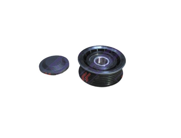 Ssangyong Actyon Sports/Korando/Rodius/Rexton Alternatör Gergi Rulmanı-Kanallı