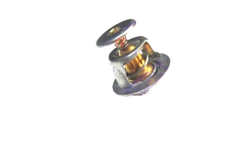 Tata İndica İndigo Marina Termostat (82') Dizel