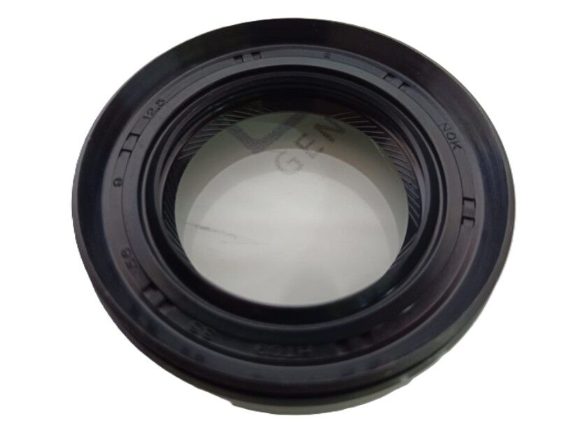 Proton Diferansiyel Keçesi ( Aks ) 98-00