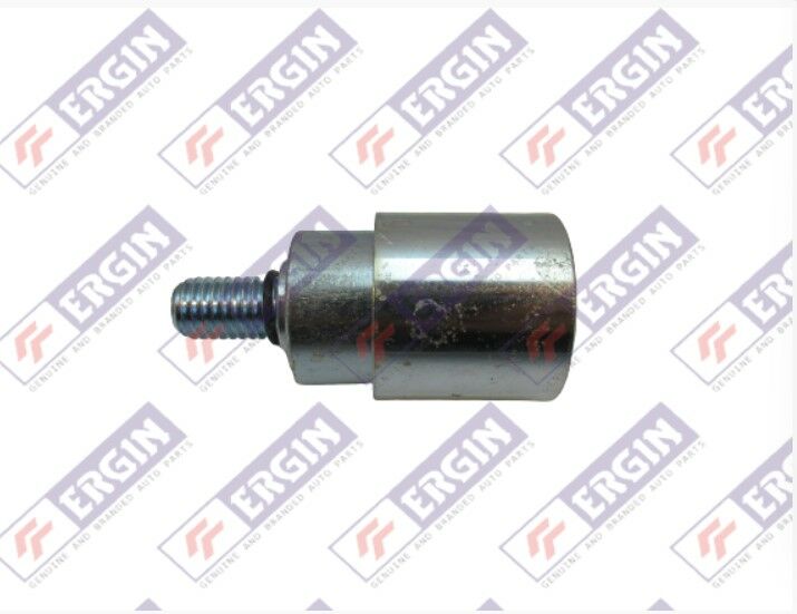 CHERY TIGGO/ALIA TRİGER EKSANTRİK GERGİ RULMANI ufak