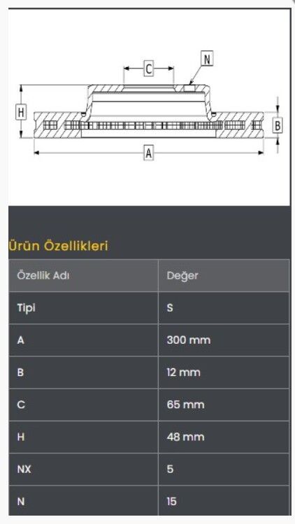 Passat/Q3/Tiguan/SuperB 15-Fren Diski Arka (300)-Frendi