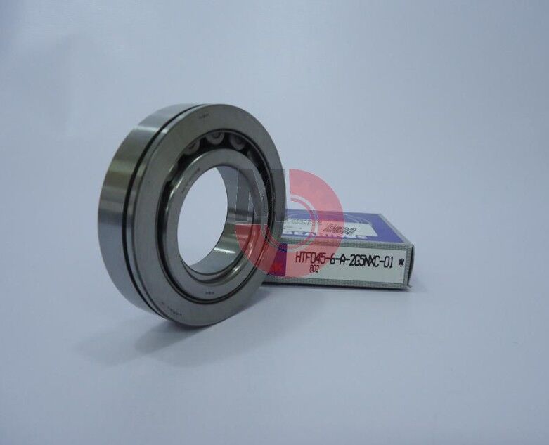 NPR 66 Rulman Prizdirek (2004) (045-6-A)(NUP209)