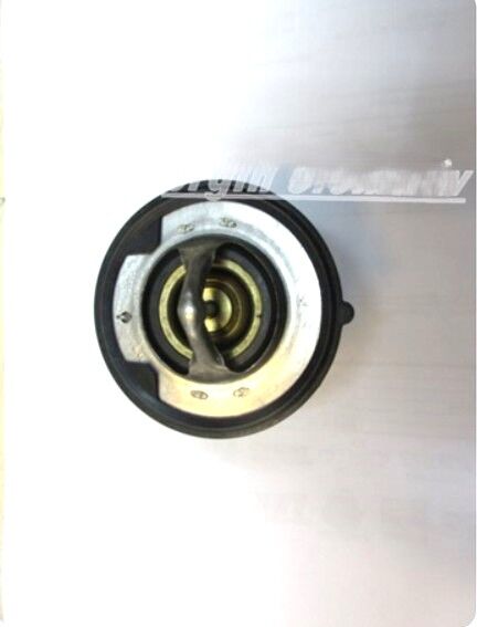 Chery Kimo Termostat