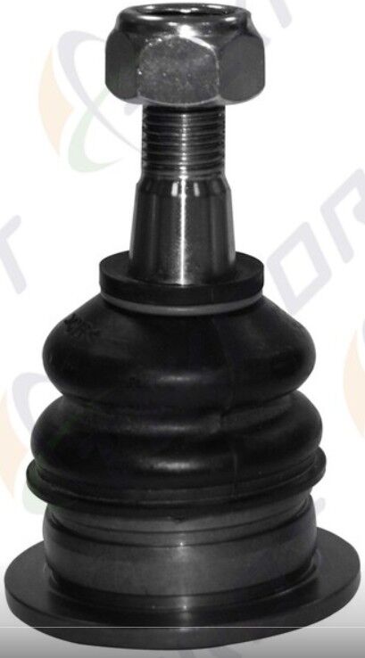 Toyota Hilux 05>2WD-4WD Üst Rotil