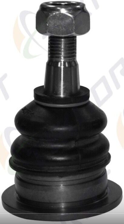 Toyota Hilux 05>2WD-4WD Üst Rotil