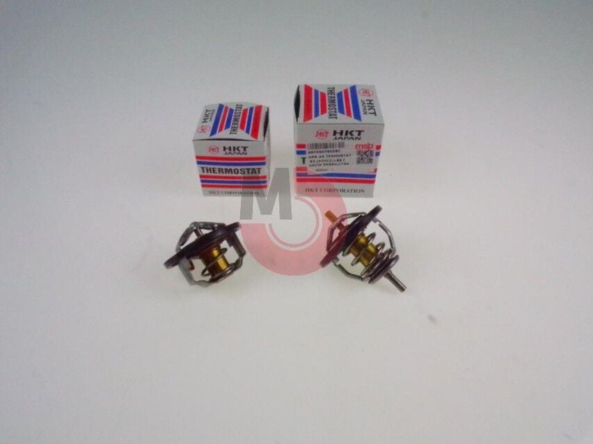 NPR 66 Termostat 82 (Pimli) + 85 (Kaçık Eksen) (TAKIM) (HKT)