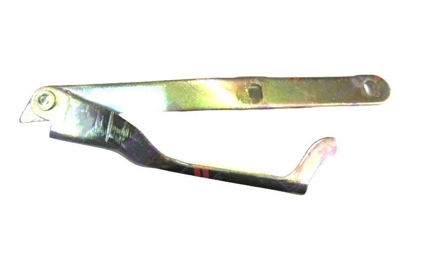 Tata Ön Kaput Menteşesi LH Indica Indigo Marina